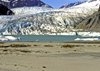 Alaska - Juneau:Menden Hall glacier (photo by A.Walkinshaw)