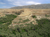 Algrie - Gorges de Tighanimine - El Abiod - Batna wilaya -  Massif des Aurs: fleuve de palmiers - photographie par J.Kaman