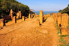 Tipasa, Algrie: the Cardo, with the Mediterranean sea at its northern end - Tipasa Roman ruins, Unesco World Heritage site | le Cardo, avec la mer Mditerrane,  son extrmit nord - ruines romaines de Tipasa, Patrimoine mondial de l'UNESCO - photo par M.Torres