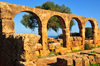 Tipaza, Algeria / Algrie: arches and olive tree - Great Christian Basilica - Tipasa Roman ruins, Unesco World Heritage site | arcade et olivier - Grande Basilique Chrtienne - ruines romaines de Tipasa, Patrimoine mondial de l'UNESCO - photo by M.Torres