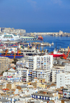 Alger - Algrie: partie sud de la ville et le port - photo par M.Torres