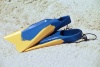 Australia - Gold Coast (Queensland): flippers on the sand - photo by  Picture Tasmania/Steve Lovegrove