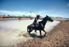 Australia - Cattle Station (NT): stockmen move a herd - photo by  Picture Tasmania/Steve Lovegrove