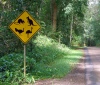 Australia - Crater Lake NP (Queensland): road sign - photo by Luca Dal Bo