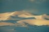 Australia - Eucla (WA): sand dunes at sunset - photo by R.Eime