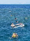 Australia - Australia - Great Barrier Reef (Queensland): snorkling in the coral - photo by Angel Hernandez