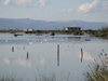 Azerbaijan - Narimanabad - Lankaran Rayonu: calm waters of the Caspian sea, with Talysh mountains in background (photo by A.Kilroy)