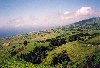 Azores / Aores - Vila Franca do Campo: bucolic green - verde bucolico - photo by M.Durruti