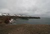 Bear Island / Bjrnya, Svalbard: a nature reserve where moss and scurvy grass are the main flora - photo by R.Behlke