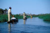 Okavango delta, North-West District, Botswana: Mokoros, boats made of hollowed out logs, are a wonderful way to explore the world's largest inland delta - punting - photo by C.Lovell