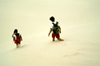 Brazil / Brasil - Lenis (Maranho): in the dunes / nas dunas - photo by F.Rigaud