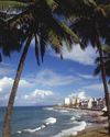 Brazil / Brasil - Salvador da Bahia: Atlantic sea front  - Fort Beach - praia do Forte (photo by L.Moraes)