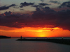 Canada - Ontario - Lake Ontario: sunset, pier and seaguls - photo by R.Grove