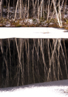 outside Quebec City, Quebec: reflecting pond - photo by B.Cain