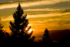 Vallerview, BC, Canada: Scenic trees at sunset near Kamloops - BC Interior - photo by D.Smith