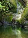 Cook Islands - Rarotonga island: Wigmore's waterfall, gushing  in the rainforest - photo by B.Goode