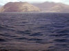 Crozet islands - Possession island: Cap de l'Antares - a flock of prions flies over the ocean (photo by Francis Lynch)