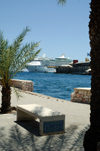 Curacao - Willemstad: Palm tree and stone bench on Governement Plein in foreground,with Cruise Ship in dock on the Mega Pier in the background - photo by S.Green