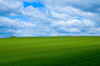 Czech Republic - Benesov / Beneschau (Central Bohemia - Stredocesk kraj): powerlines in green fields (photo by P.Gustafson)