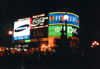 London, England: neons of the new colonizers - Piccadilly  Circus at night - photo by M.Torres