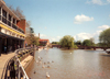 England (UK) - Stratford-upon-Avon (Warwick county - Shakespeare Country): ducks - Bancroft gardens - photo by M.Torres