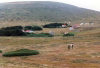 Falkland islands / Ilhas Malvinas - Carcass Island: Rob McGill settlement - walk over the sponge turf (photo by G.Frysinger)