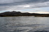 Falkland islands / Ilhas Malvinas - East Falkland: Berkeley Sound - rock formations (photo by C.Breschi)