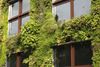 Paris, France: Muse du quai Branly (MQB) - Quai Branly Museum - architect Jean Nouvel - planted green wall designed by Gilles Clment and Patrick Blanc - 7e arrondissement - photo by A.Bartel