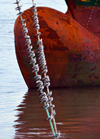 Banjul, The Gambia: port of Banjul - seagulls perched on a ship's mooring lines - ship's hull forepeak / bulbous bow - photo by M.Torres