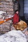 Greenland - Qaqortoq: seal skins (photo by G.Frysinger)