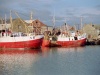 Ireland - Howth / Binn adair (county Fingal): the fishing fleet (photo by M.Bergsma)