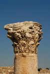 Amman - Jordan: Byzantine Church - Corinthian capital - citadel - photo by M.Torres