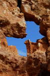 Kazakhstan, Charyn Canyon: Valley of the Castles - blue butterfly on the rock - photo by M.Torres