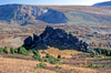 CIS - Kazakhstan - Altay Mountains: rock outcrop - photo by V.Sidoropolev