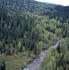 East Kazakhstan oblys: mountain stream and forest seen from the air - photo by V.Sidoropolev