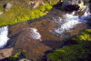 Kerguelen island: Port Jeanne d'Arc - mossy banks line the streambed (photo by Francis Lynch)