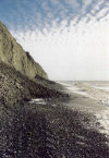 Kolguyev Island: narrow beach of thermoerosional coast - photo by A. Kizyakov & M. Leibman / Arctic Coastal Dynamics (ACD)