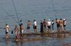 Lebanon / Liban - Beirut: anglers (photo by J.Wreford)