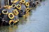 Macau, China: floating dock bumpers - pier at the Outer Harbour Ferry Terminal - Porto Exterior - photo by M.Torres