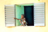 Djenne: kid observing the monday market (photo by Nacho Cabana)