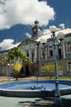 Fort-de-France, Martinique: Htel de Ville and fan palms - Htel de la Prfecture - photo by D.Smith