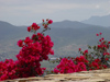 Mexico - Monte Albn: red (photo by A.Caudron)