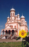 Moldova - Drochia: church and sunflower (photo by M.Torres)