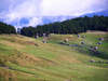 Montenegro - Crna Gora - Komovi mountains: Katun tavna village - photo by J.Kaman