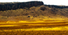 Morocco - Taroudant: Sous Valley - photo by M.Ricci