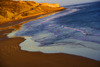 Tarhazoute - Morocco: virgin beaches on the road from Essaouira - photo by Sandia