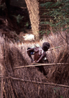 Mozambique / Moambique - Pemba: village scene - bathing al fresco / banho no exterior - photo by F.Rigaud