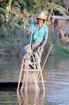 Inle Lake: a fisherman at work (photo by J.Kaman)