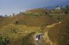 Nagarkot village, Bhaktapur District: located 30 km east of Kathmandu on a mountain ridge - known as a recreational area with spectacular views of the Himalayan chain and Kathmandu Valley - photo by W.Allgwer