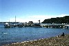 New Zealand - New Zealand - North island - Russel - Bay of Islands: beach (photographer: Rob Neil)